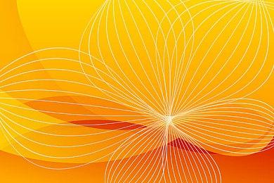 天价宝可梦卡牌遭暴力抢劫 澳大利亚警方称“火箭队”出没