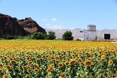 EA公布2021年玩家数据 《APEX英雄》玩家使用了120亿个跳板